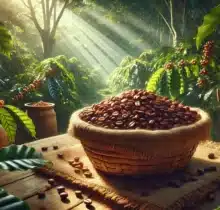 Est-ce que le café est bon pour la santé? Découvrez la vérité étonnante.