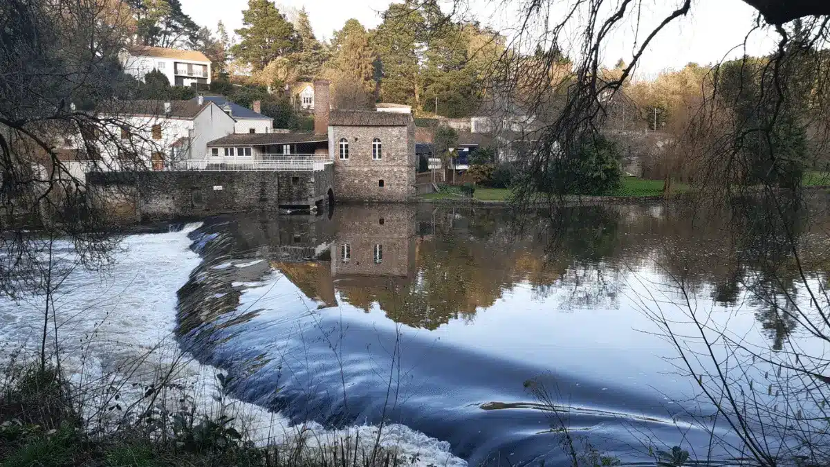 Randonnee autour de l'Etang-de la Guyonniere